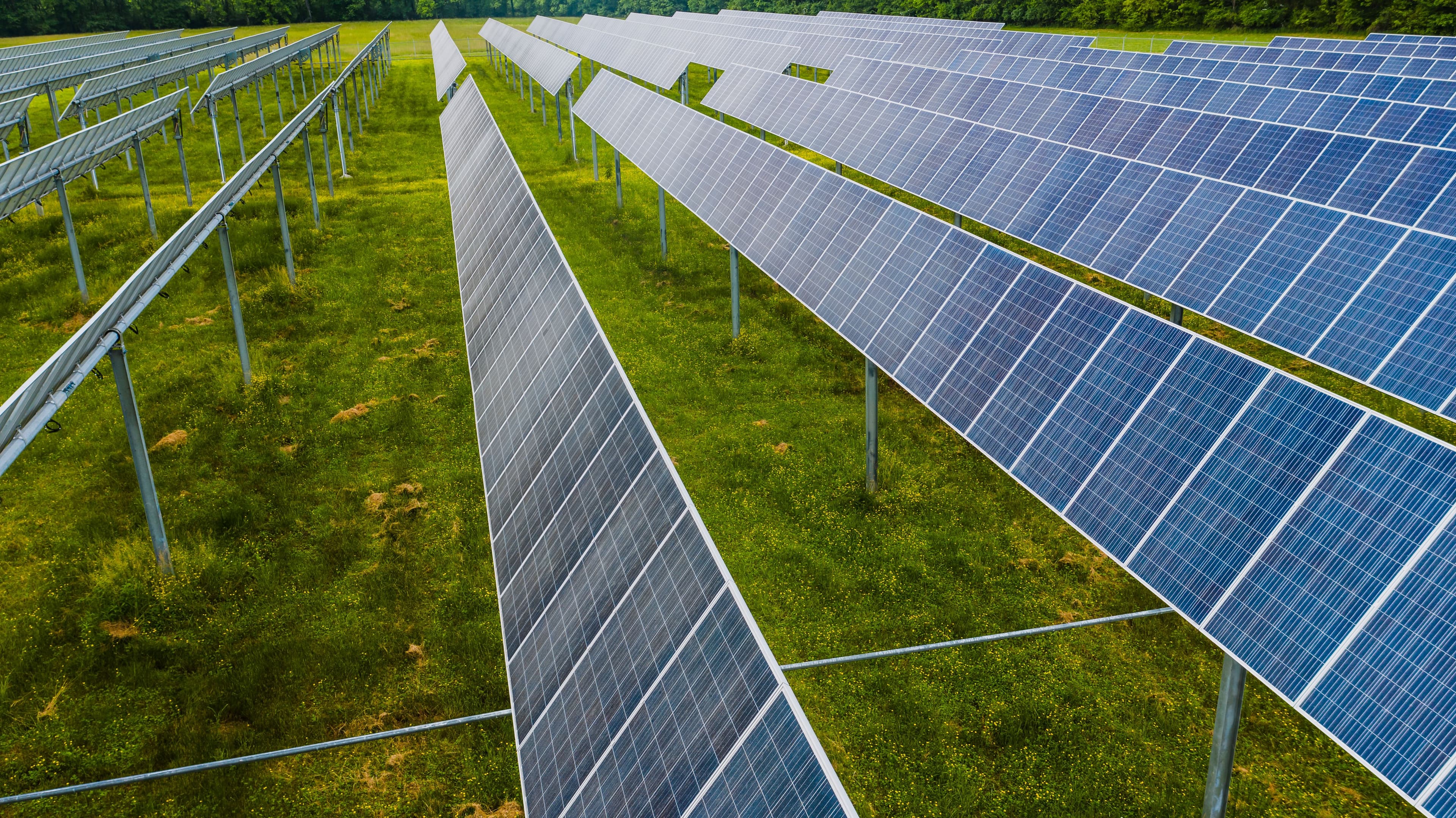 Angled panel rows standing over open grassland